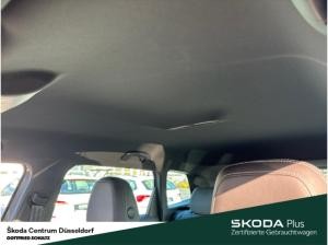 Skoda Karoq Sportline 4x4 TSI DSG AHK Infotainment-Paket Amundsen Frontscheibe heizbar