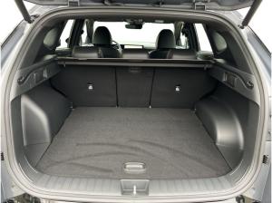 Hyundai TUCSON 1.6 N Line 7-DCT "Black Weeks Angebot" NAVI LED 19"LM KAMERA