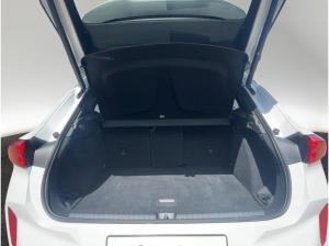 Cupra Terramar 1.5 eTSI DSG Sitzhzg LED Link Kamera