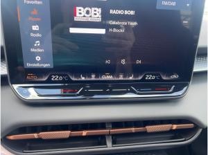 Cupra Terramar 1.5 eTSI DSG Sitzhzg LED Link Kamera