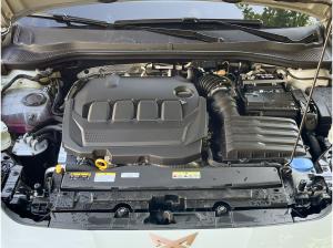 Cupra Leon Sportstourer 2.0 TDI DSG AHK Matrix