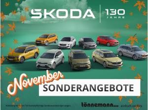 Skoda Fabia Tour 1.0 TSI DSG 🍂NOVEMBER-SONDERAKTION🍂 - DSG+WINTER-PAKET+LED SCHEINWERFER