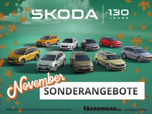 Skoda Fabia Tour 1.0 TSI DSG 🍂NOVEMBER-SONDERAKTION🍂 - DSG+WINTER-PAKET+LED SCHEINWERFER