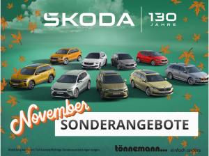 Foto - Skoda Fabia Monte Carlo 1.0 TSI🍂SONDERAKTION🍂 WINTER PLUS*LICHT&SICH*LENKRADHEIZUNG*