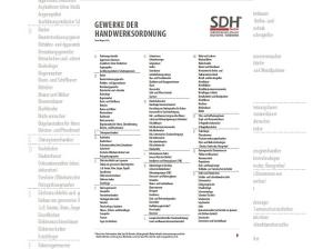 Renault Scenic Techno 170 Comfort Range❗️HANDWERKER-AKTION❗️