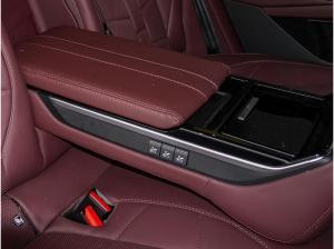 DS Automobiles DS 9 Hybrid Rivoli E-Tense Fin. ab 2,99% Leder SD