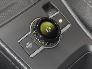 Volkswagen T-Roc 1.5 eTSI Life DSG Klima WR