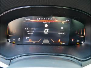 Seat Ibiza Road Edition 1.0 TSI 116 PS DSG