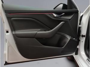 Skoda Kamiq Monte Carlo 1.5 TSI DSG NAVI LED DAB AHK