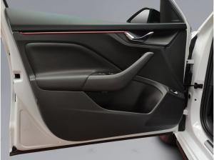 Skoda Kamiq Monte Carlo 1.5 TSI DSG NAVI LED DAB AHK