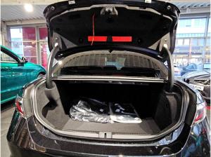 Alfa Romeo Giulia Quadrifoglio 520 PS ✨Akrapovic Abgasanlage