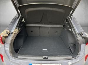 Cupra Terramar VZ 2.0 TSI 4Drive ABGABE 04.2026