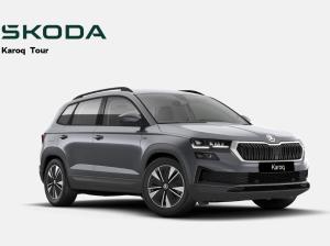 Skoda Karoq Tour 1.5 TSI DSG / Matrix, ACC, AHK, Navi