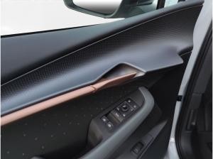 Cupra Tavascan Endurance