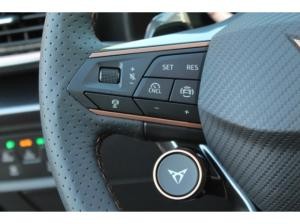 Cupra Formentor 2.0 TSI DSG 4Drive VZ Black Edition AHK LED EL.SITZ DCC ACC GRA 19