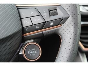 Cupra Formentor 2.0 TSI DSG 4Drive VZ Black Edition AHK LED EL.SITZ DCC ACC GRA 19