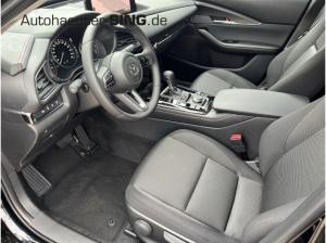Mazda CX-30 Homura Automatik Keyless elekt. Heckklappe