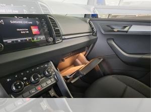 Skoda Karoq Tour ACC Matrix RKam AHK SHZ EPH