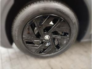 Skoda Elroq 50 Tour 55 kWh Batterie Elektromotor 1-Gang-Automatik zzgl. 500€ Zusatzprämie*