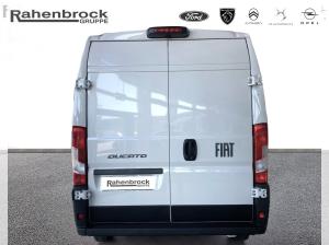 Fiat Ducato Kasten L3H2 MY25 Maxi 🔥Hecktüren 260°, Voll-LED, Rückfahrkamera🔥