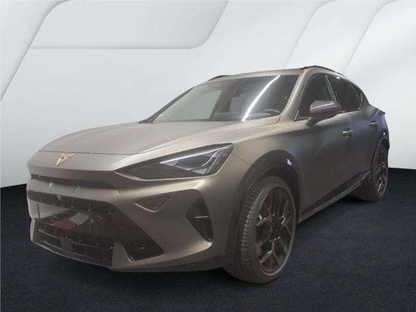 Cupra Formentor 2.0 TSI DSG 4Dr. VZ 5.-J.-GAR AKRA PANO 19