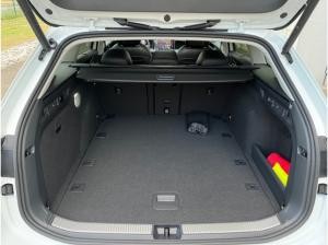 Volkswagen Passat Business *AHK*IQ Light*TopView*