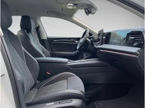 Volkswagen Passat Business *AHK*IQ Light*TopView*