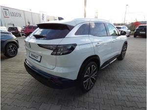 Renault Austral Techno 160 💪 Nur für Handwerker 🛠️