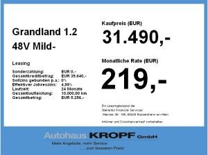 Opel Grandland 1.2 48V Mild- W Edition LED+SHZ+Kam.
