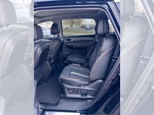 DFM Forthing 4 Gummimatten/Zulassung und erste Inspektion gratis