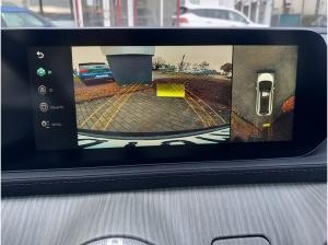 DFM Forthing 4 Gummimatten/Zulassung und erste Inspektion gratis