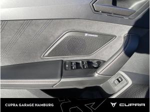 Cupra Formentor 2.0 TDI 7-Gang-DSG