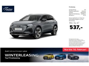 Audi Q4 e-tron e-tron 55 quattro AHK/W-Pumpe/RFK/21''