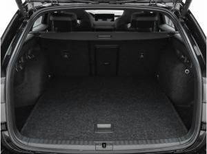 Skoda Octavia Combi RS 2.0 TSI DSG AHK Navi Pano Winter