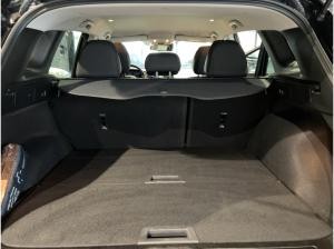 Renault Kadjar TCe 140 Business Navi Sitzhzg Allwetter