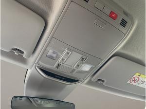 Skoda Kamiq Tour SOFORT VERFÜGBAR! ACC Virtual LED LM PDC