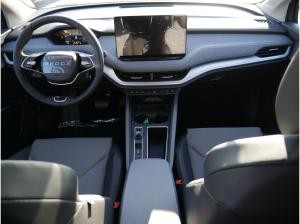 Skoda ENYAQ 85X Loft PDC SHZ KAMERA MEMORY NAVI AHK *912*