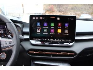 Cupra Terramar 2.0 TSI DSG 4Drive HUD AHK KAMERA NAVI SHZ GRA 19