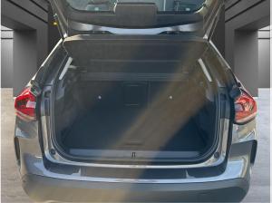 Citroën C4 Max PureTech 130 EAT8 (131 PS) /NAVI/DAB/KAMERA/+