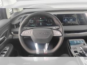 DFM Forthing 9 HEV Zulassung und erste Inspektion gratis