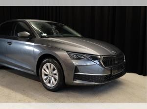 Skoda Octavia 2.0 TDI 110kW DSG Selection AHK Lim.