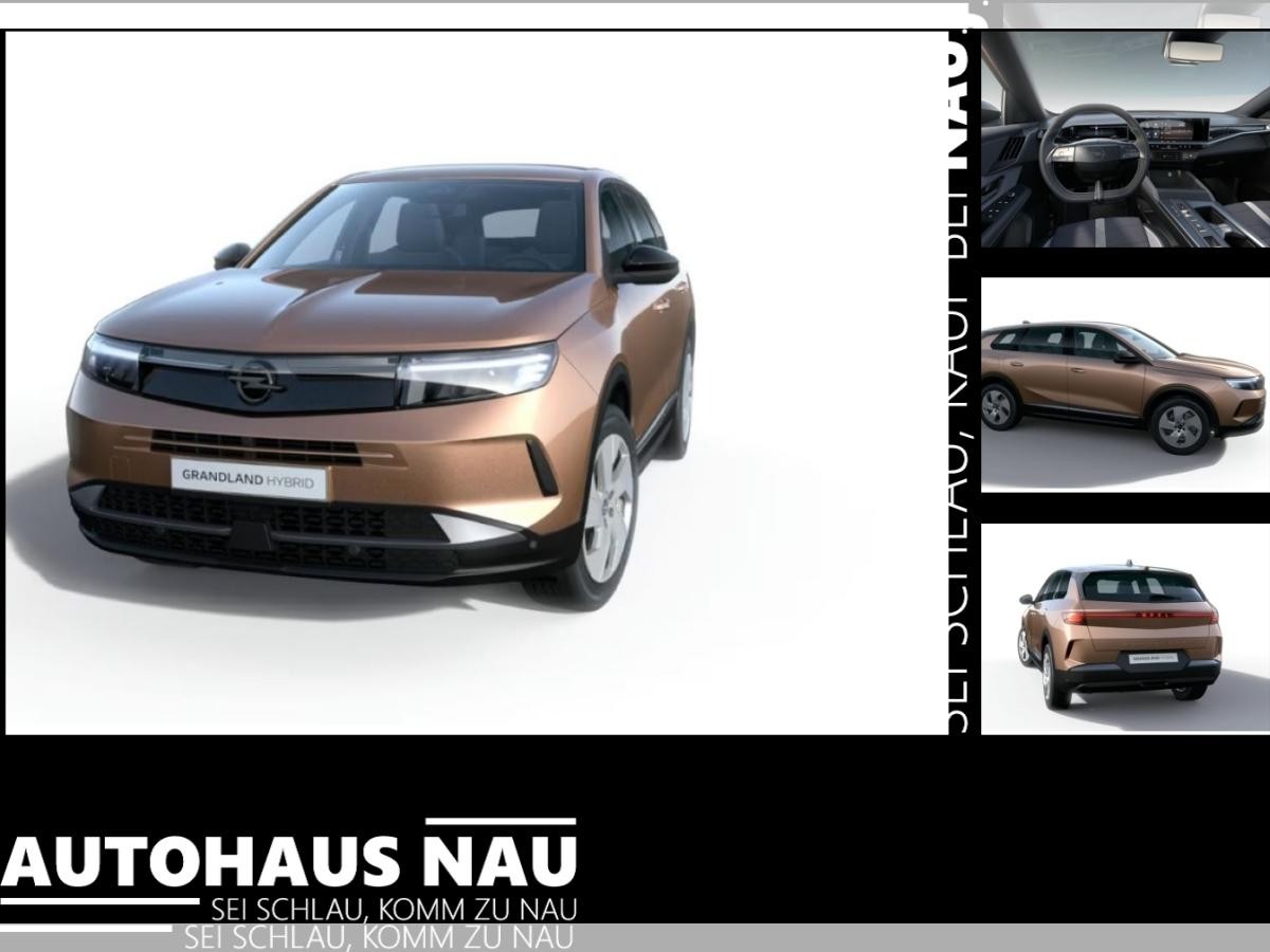 Opel Grandland Edition MHEV **Gewerbehammer**