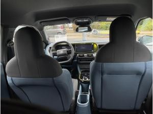 Fiat Grande Panda (325)