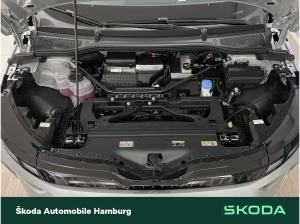 Skoda ENYAQ Enyaq 85 MAXX LODGE AHK _LGE
