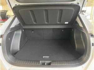 Hyundai KONA Elektro Trend/Navi/Sitzheizung/Lenkradheizung/LED/Rückfahrkamera