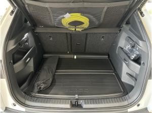 Skoda Elroq RS 4x4/Maxx/Wärmepumpe/21"LM/Winter/AHK