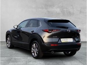 Mazda CX-30 2.5L e-SKYACTIV G FWD 🤑2 RATEN GESCHENKT🤑Exclusive-Line Exclusive-line +BOSE