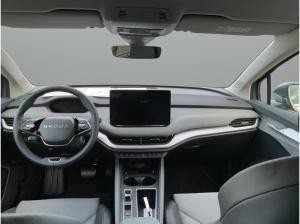 Skoda ENYAQ Paket Winter, Plus, Transport & AHZV