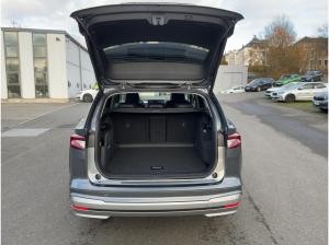 Skoda ENYAQ Paket Winter, Plus, Transport & AHZV