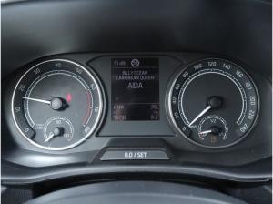 Skoda Fabia 1.0 TSI Ambition AHK LED SHZ RFK DAB+